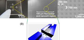 Micro-RNA separation by nanopillars and nanoslits technique