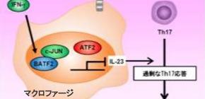 Negative Regulator Stops Extreme Immune Response to Parasite, Averting Multi-Organ Damage