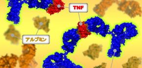 Cutting-edge analysis reveals how different drugs interact with the same target