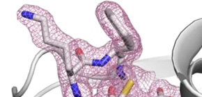 Discovery of low noise, low viscosity, and low cost carrier of proteins for serial crystallography (SFX)