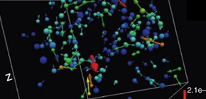 Rheological properties of high-density glass demonstrated on numerical simulations by a supercomputer