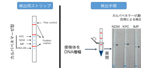 A quick and easy detection of drug-resistant bacteria in clinical practice is available at a low cost