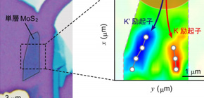 Control of light information in solid