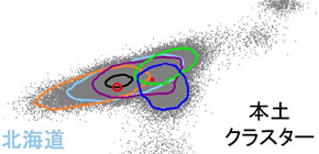 Study sheds light on recently evolved traits among Japanese descendants