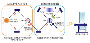 Quantum memories with cold atoms work in optic fiber communication