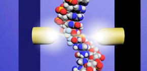 Tiny DNA Reader to Advance Development of Anticancer Drugs