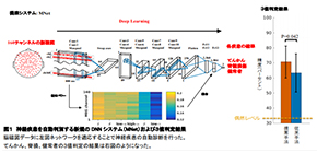 Automatic neurological disease diagnosis using deep learning