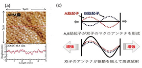 Excitonic radiative decay faster than thermal dephasing in ZnO thin films