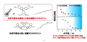 Plot Twist: Straightening Single-Molecule Conductors Improves their Performance