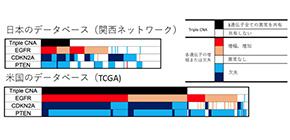 Interregional differences in somatic genetic landscape diversify prognosis in glioblastoma