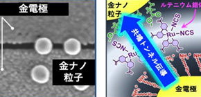 Nonlinear properties to realize molecular information processing devices clarified