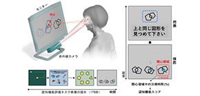 3-minute measurement of eye movements allows for early diagnosis of dementia