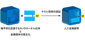 Novel method for chemical reaction control by artificial metalloenzymes