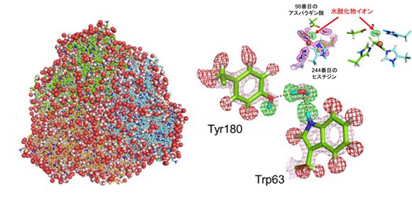 It’s crystal-clear: Neutron beam uncovers reaction of the denitrification process in nature