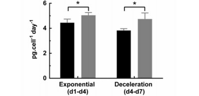 Novel technique to increase recombinant proteins by the activation of unfolded protein response signaling pathway