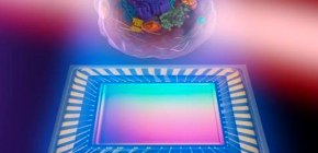 Unprecedented 3D images of live cells plus details of molecules inside