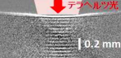 Shockwave propagation in water by THz pulsed irradiation will lead to novel THz wave-based techniques