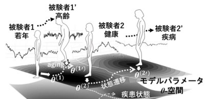 Differences in the mechanisms of postural stability between healthy people and Parkinson’s patients clarified