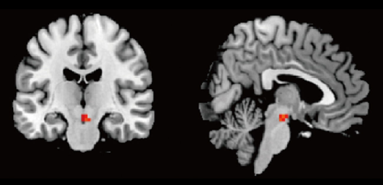 Mirror, mirror… viewing your own face, even subconsciously, is rewarding