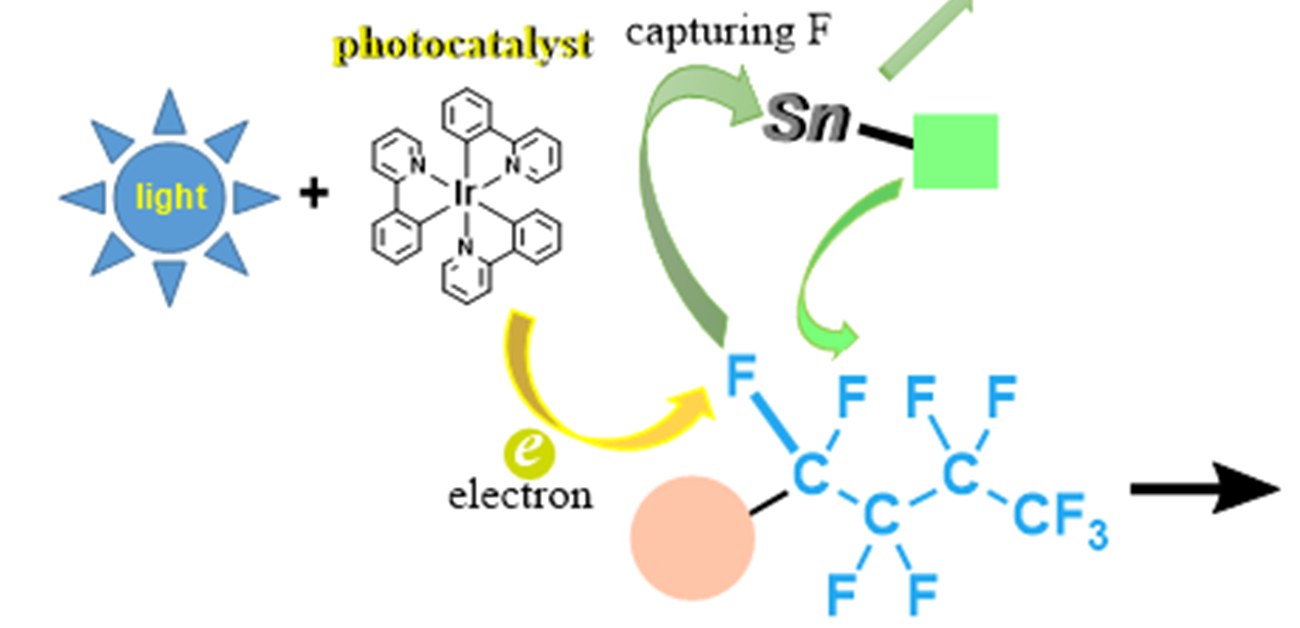 Activation of carbon-fluorine bonds via cooperation of a photocatalyst and tin