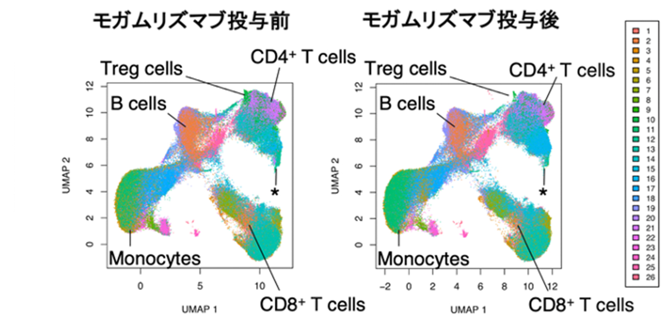 Depletion of central memory CD8+T cells might impede the antitumor therapeutic effect of Mogamulizumab