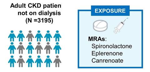 Measurement of glomerular filtration rate using endogenous d-serine  clearance in living kidney transplant donors and recipients -  eClinicalMedicine