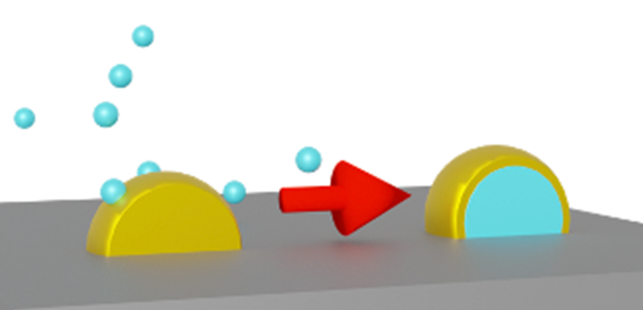 Seeing below the surface of bimetallic nanoparticles