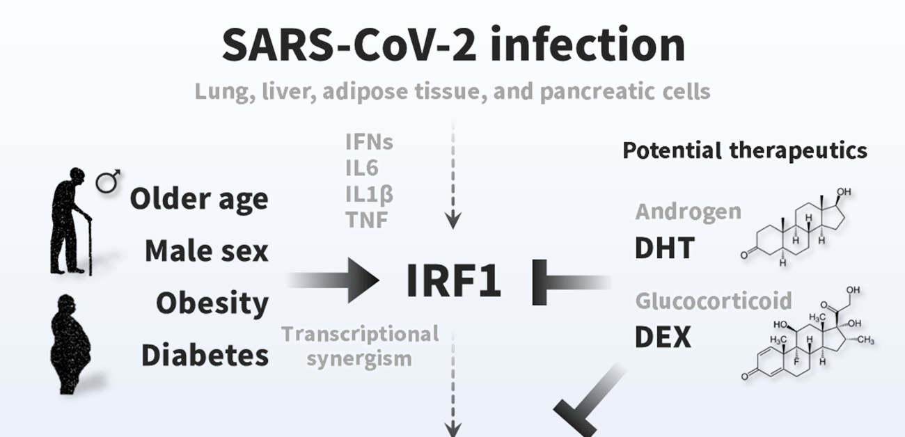 The surprising link between SARS-CoV-2 infection and new-onset diabetes