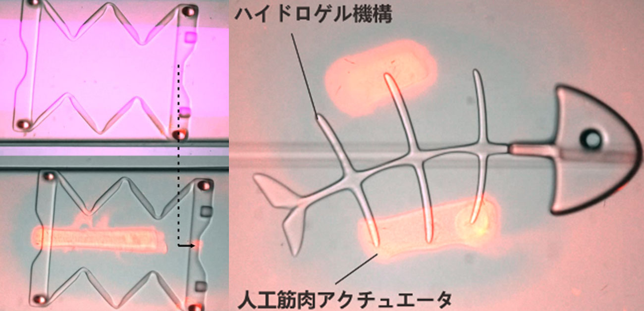 Microrobot assembly line