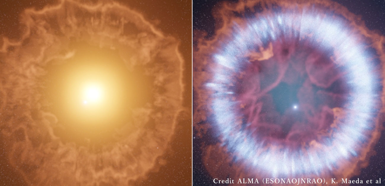 Resurrected Supernova Provides Missing-Link