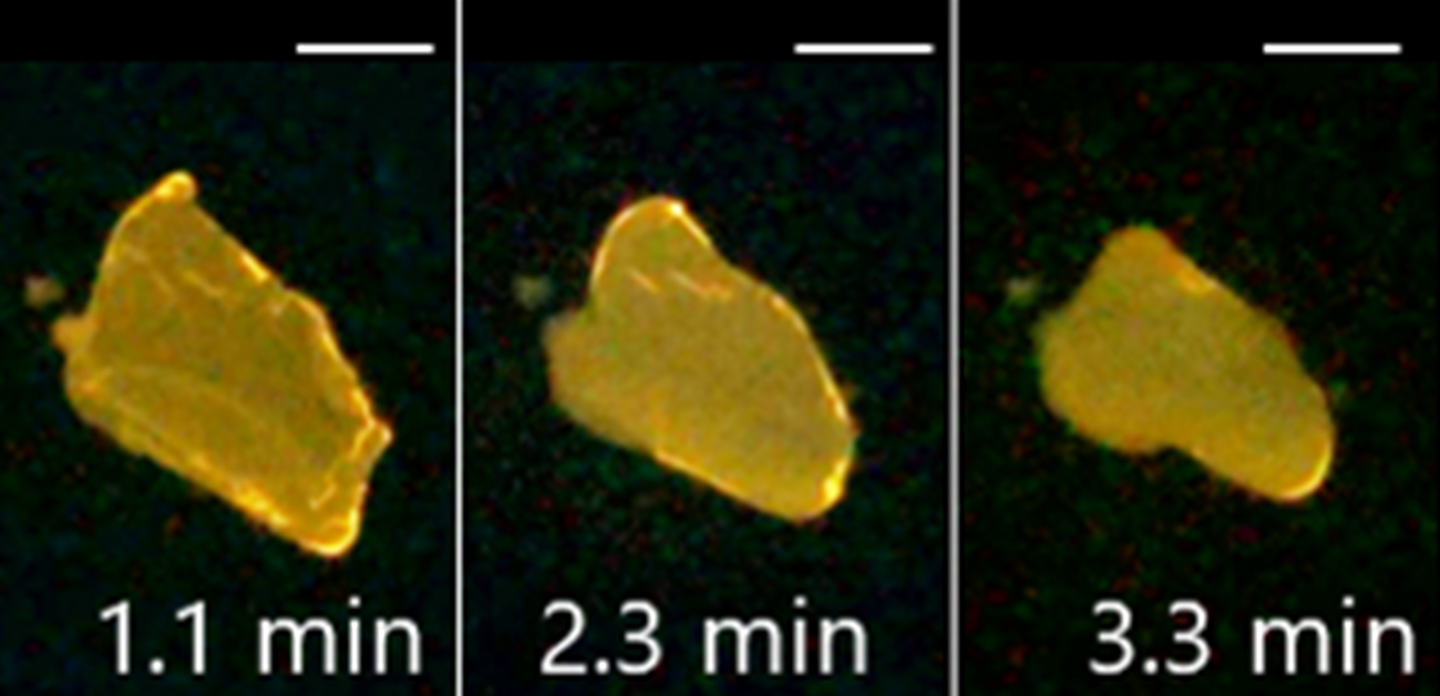 Melts in the light, not in your hand: novel crystal compound melts under ultraviolet light