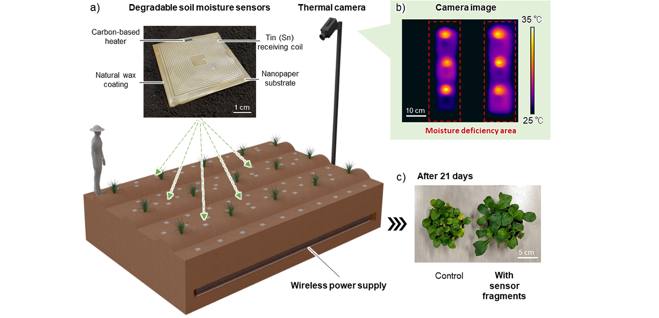 Sustainable smart agriculture with a biodegradable soil moisture sensor