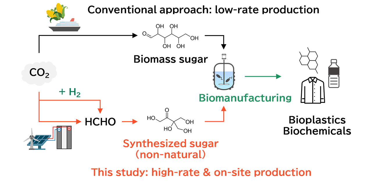 Biomanufacturing using chemically synthesized sugars enables sustainable supply of sugar without competing with food