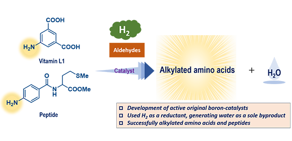 Computing takes the guesswork out of chemistry