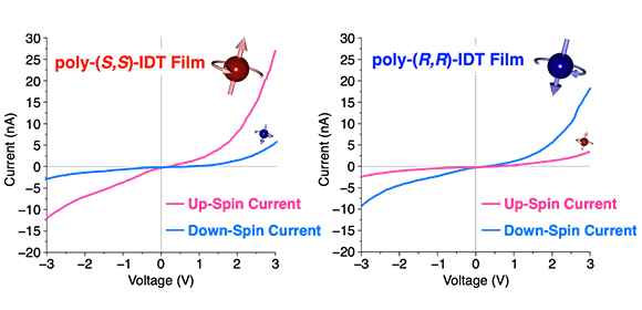 “Fussy” molecules prefer one direction over the other