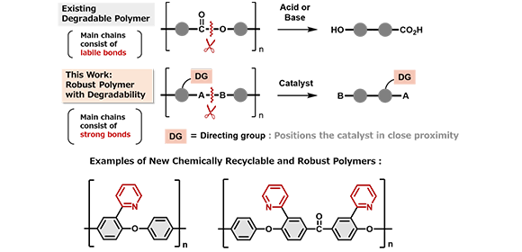 New polymer design breaks the tradeoff between toughness and recyclability