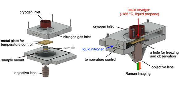 Enhanced Raman microscopy of cryofixed specimens: clearer and sharper chemical imaging