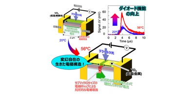 ‘Living’ electrodes breathe new life into traditional silicon electronics