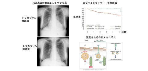 A simple supplement improves survival in patients with a new type of heart disease