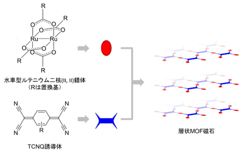 Observing the evolution of magnetic phases through oxygen adsorption