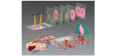 Developed a new method to interpret spectroscopic images from the perspective of connections between spaces