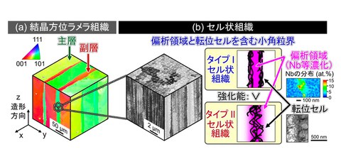 Elucidated the deformation behavior of high-strength hierarchical structures unique to metal 3D printing!