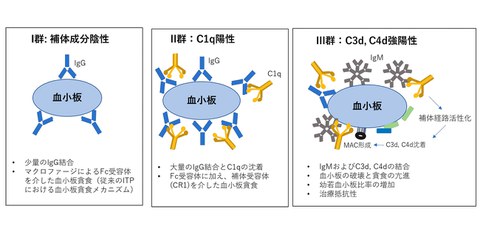 Identified a novel therapeutic indicator for the designated intractable disease, immune thrombocytopenia (ITP)
