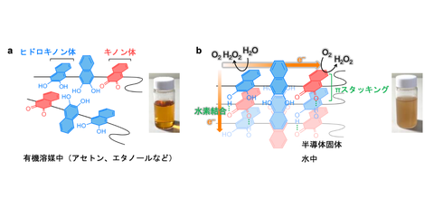 Simply deposit and dry: a new photocatalyst sheet for hydrogen peroxide production