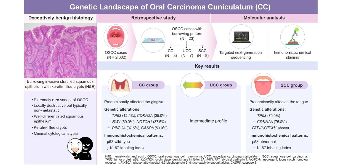 Burrow for discovery: rare oral cancer shows a distinct genetic profile