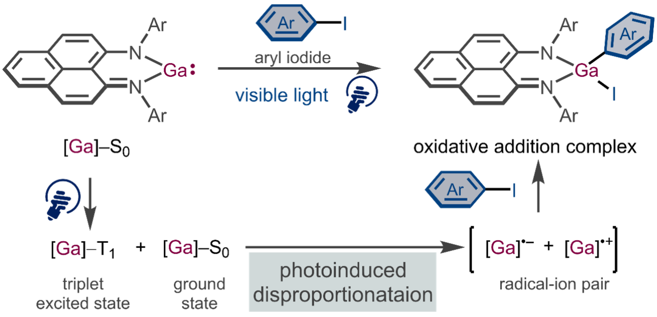 Light spurs bond activation by main-group elements
