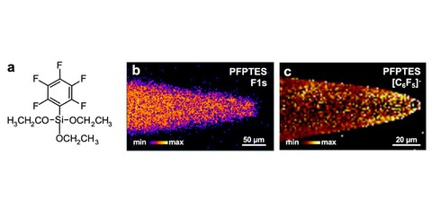 Unlocking the secrets of individual cells one molecule at a time