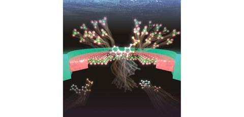 New smart sensor identifies present molecules by remembering the past