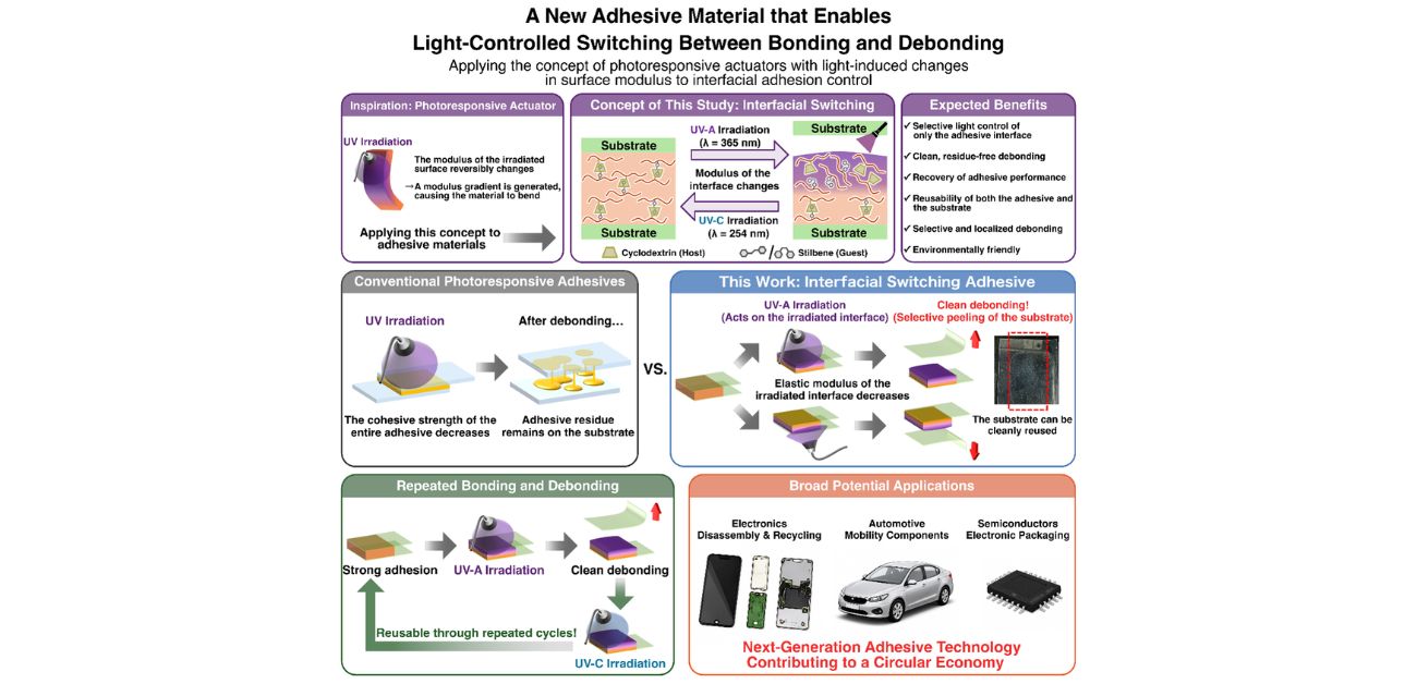 Light helps adhesives let go cleanly: Interfacial switching enables selective peeling