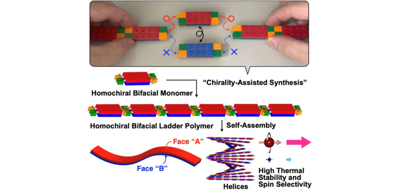 A new kind of polymer with two faces and a twist
